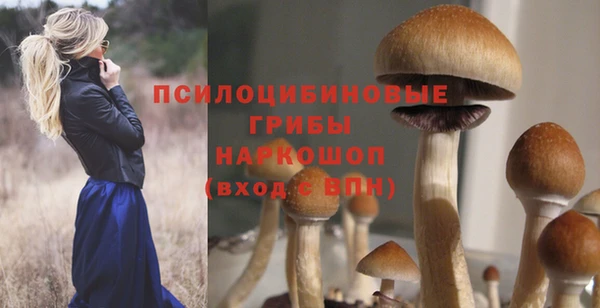 амф Пересвет