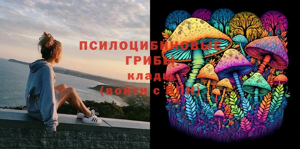 мяу мяу мука Пестово