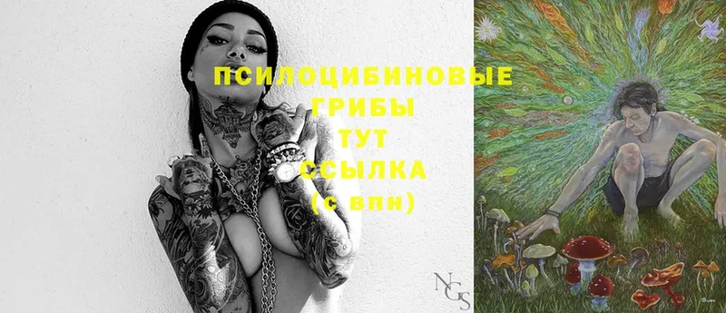 Галлюциногенные грибы Magic Shrooms Трубчевск