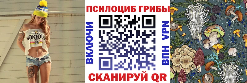 купить  сайты  Трубчевск  Псилоцибиновые грибы мицелий 